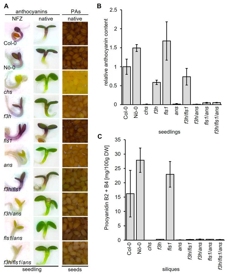 https://cdn.ncbi.nlm.nih.gov/pmc/blobs/6083/10854054/ee67cc79709d/12870_2024_4787_Fig5_HTML.jpg