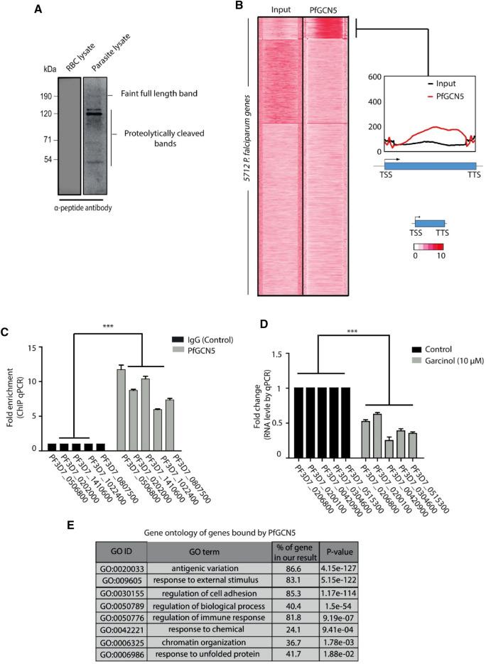 https://cdn.ncbi.nlm.nih.gov/pmc/blobs/6083/7806804/79518d508b3c/41598_2020_79539_Fig1_HTML.jpg