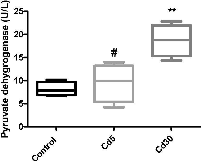 https://cdn.ncbi.nlm.nih.gov/pmc/blobs/6084/8280890/260610d0b9db/IANN_A_1947519_F0008_B.jpg