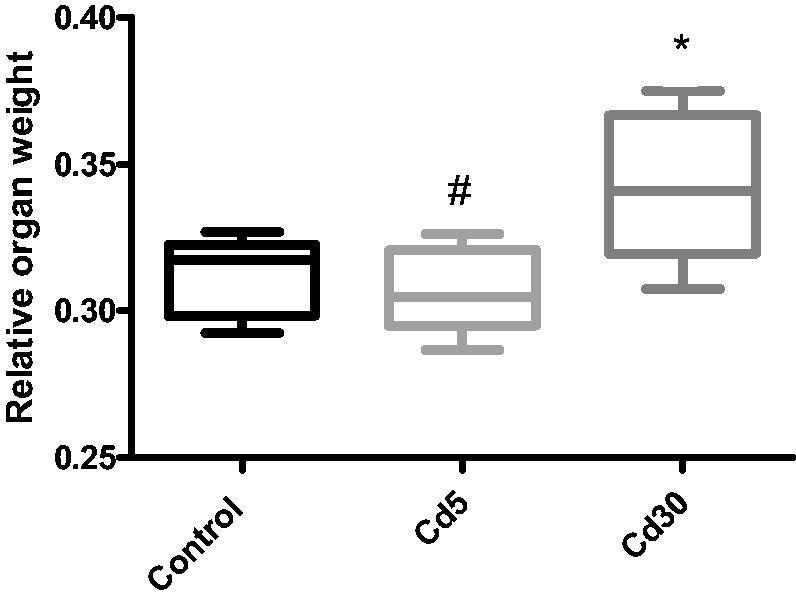 https://cdn.ncbi.nlm.nih.gov/pmc/blobs/6084/8280890/e2c2f8f5b020/IANN_A_1947519_F0001_B.jpg