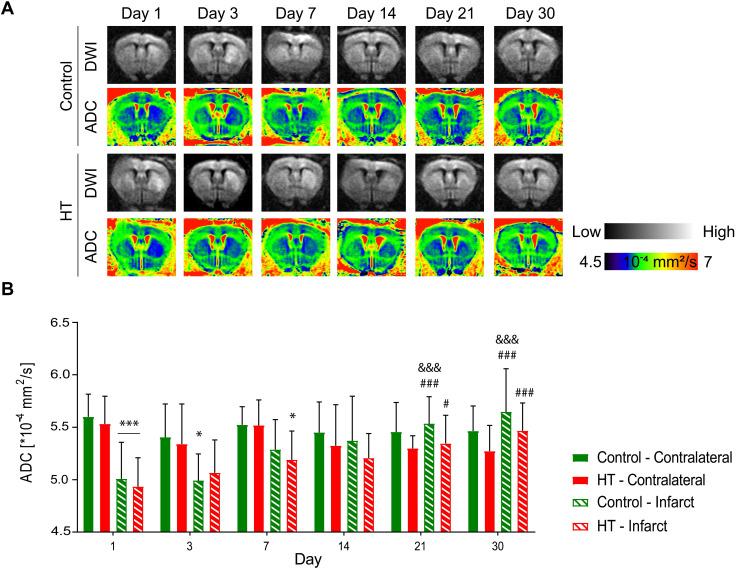 https://cdn.ncbi.nlm.nih.gov/pmc/blobs/6085/7977466/68720e5779c2/thnov11p4030g004.jpg
