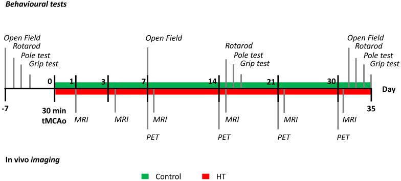 https://cdn.ncbi.nlm.nih.gov/pmc/blobs/6085/7977466/820d2963ad3d/thnov11p4030g001.jpg