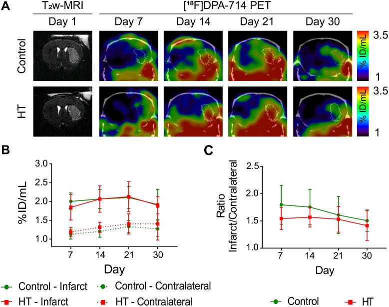 https://cdn.ncbi.nlm.nih.gov/pmc/blobs/6085/7977466/9dc6d8b4c189/thnov11p4030g005.jpg