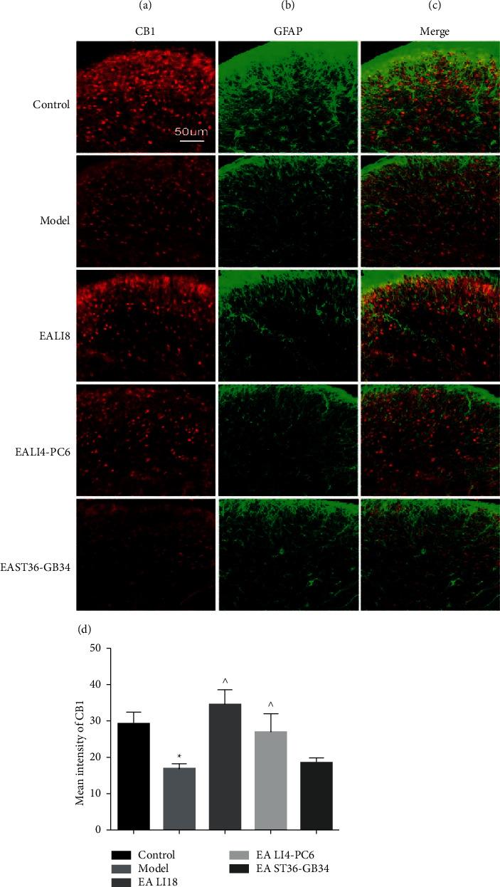https://cdn.ncbi.nlm.nih.gov/pmc/blobs/6085/8710158/9095e592918e/ECAM2021-5880690.004.jpg