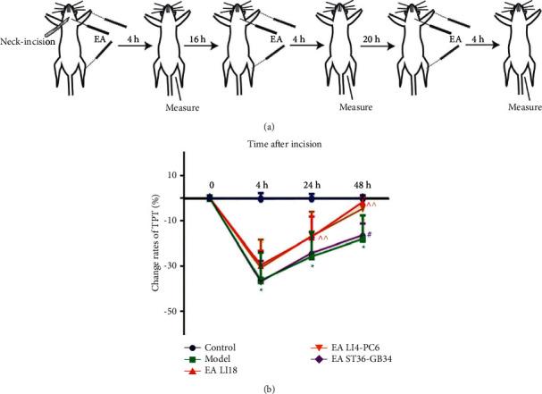 https://cdn.ncbi.nlm.nih.gov/pmc/blobs/6085/8710158/cbffba9cb7ae/ECAM2021-5880690.001.jpg