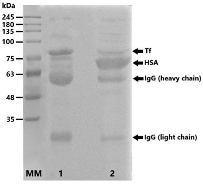https://cdn.ncbi.nlm.nih.gov/pmc/blobs/6086/11901732/c0003d798b92/molecules-30-00993-g002.jpg