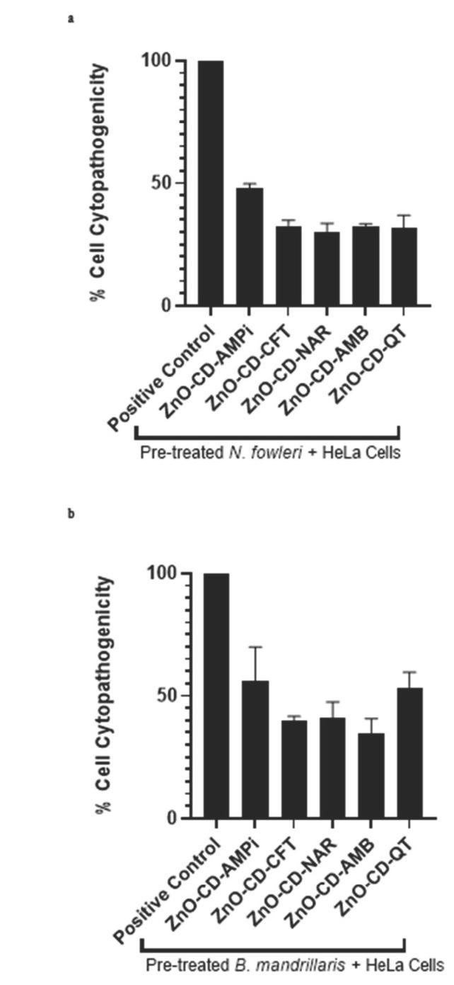 https://cdn.ncbi.nlm.nih.gov/pmc/blobs/6087/9598189/11ab3ebc646d/antibiotics-11-01281-g003.jpg