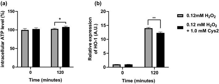 https://cdn.ncbi.nlm.nih.gov/pmc/blobs/608a/9365738/c2ba15b3b211/726_2022_3176_Fig4_HTML.jpg