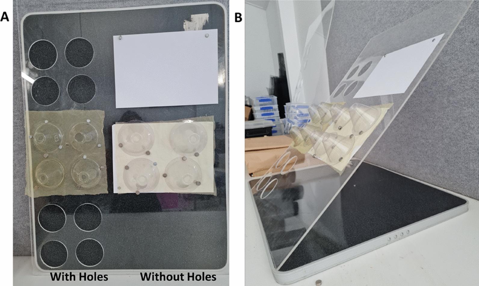 https://cdn.ncbi.nlm.nih.gov/pmc/blobs/608b/9762087/d219d8536d92/12936_2022_4412_Fig1_HTML.jpg
