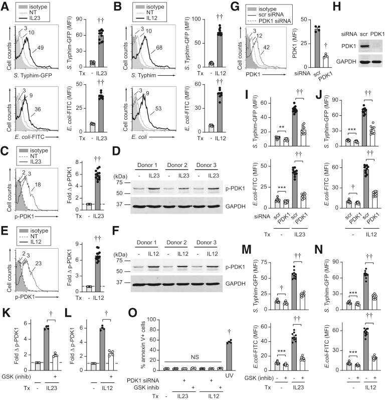 https://cdn.ncbi.nlm.nih.gov/pmc/blobs/608f/7490566/72f6a6f30f33/gr2.jpg