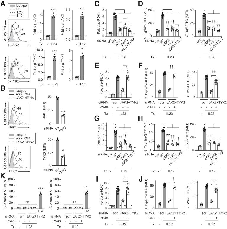 https://cdn.ncbi.nlm.nih.gov/pmc/blobs/608f/7490566/8e39202fe51a/gr3.jpg