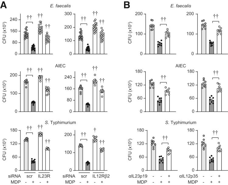 https://cdn.ncbi.nlm.nih.gov/pmc/blobs/608f/7490566/9165f5b98450/gr13.jpg