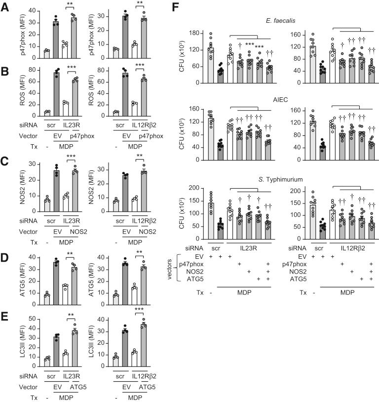 https://cdn.ncbi.nlm.nih.gov/pmc/blobs/608f/7490566/bbe3dff42baf/gr15.jpg