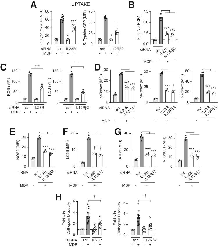 https://cdn.ncbi.nlm.nih.gov/pmc/blobs/608f/7490566/f58900534e93/gr14.jpg