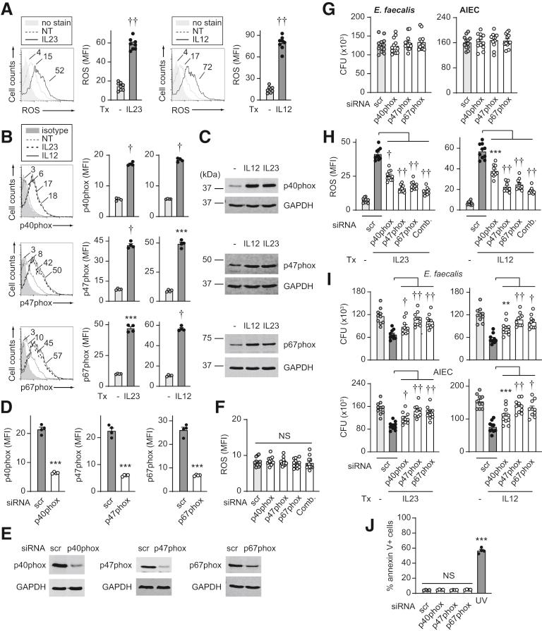 https://cdn.ncbi.nlm.nih.gov/pmc/blobs/608f/7490566/f91ec1dc5846/gr5.jpg