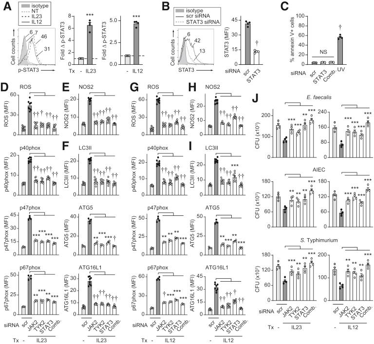 https://cdn.ncbi.nlm.nih.gov/pmc/blobs/608f/7490566/f92eb993c1f0/gr9.jpg