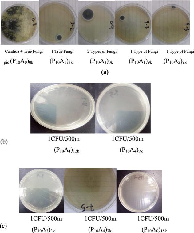 https://cdn.ncbi.nlm.nih.gov/pmc/blobs/6090/12004146/1b53faf6eaae/ao4c07119_0008.jpg
