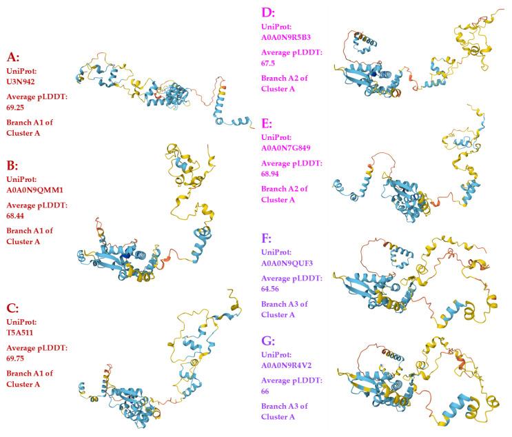 https://cdn.ncbi.nlm.nih.gov/pmc/blobs/6092/12028455/094901e4e025/jof-11-00244-g003a.jpg