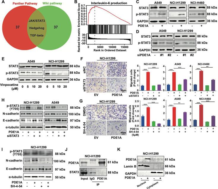 https://cdn.ncbi.nlm.nih.gov/pmc/blobs/6093/12289305/055ec86d2912/elife-98903-fig6.jpg