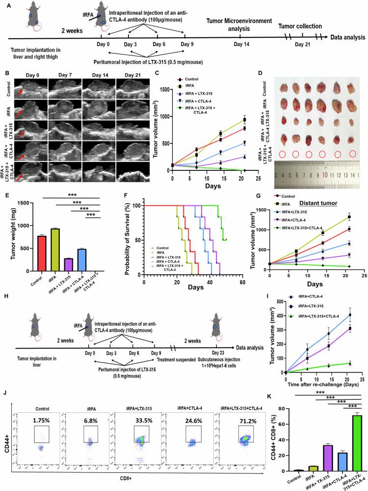 https://cdn.ncbi.nlm.nih.gov/pmc/blobs/6094/11994779/c5230e13cd57/41419_2025_7622_Fig3_HTML.jpg