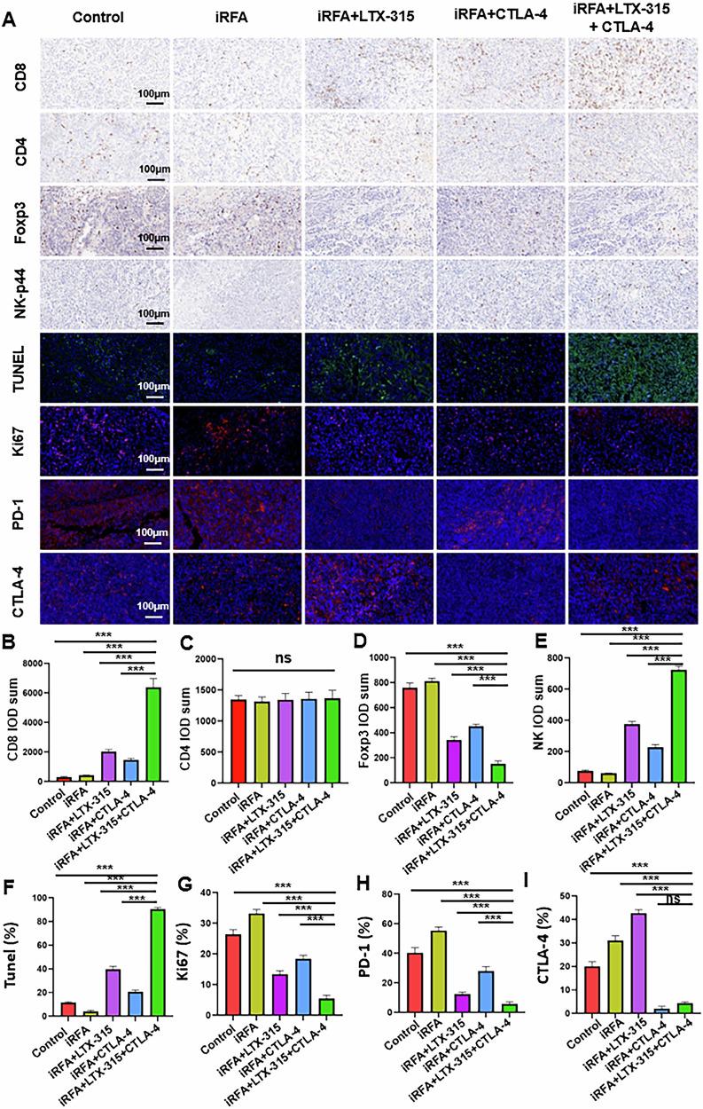 https://cdn.ncbi.nlm.nih.gov/pmc/blobs/6094/11994779/dea44896cfd4/41419_2025_7622_Fig7_HTML.jpg