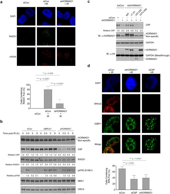 https://cdn.ncbi.nlm.nih.gov/pmc/blobs/6094/6192992/c731ad2a9b6f/41598_2018_33601_Fig4_HTML.jpg