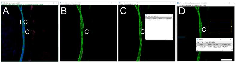 https://cdn.ncbi.nlm.nih.gov/pmc/blobs/6094/7856428/1d9be2d861c4/gr2.jpg