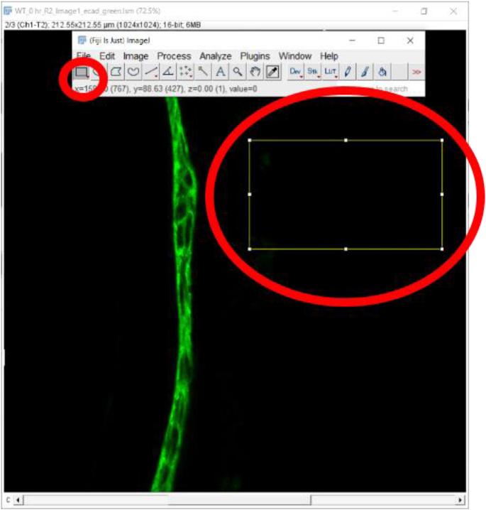 https://cdn.ncbi.nlm.nih.gov/pmc/blobs/6094/7856428/a4bb558a1469/fx35.jpg