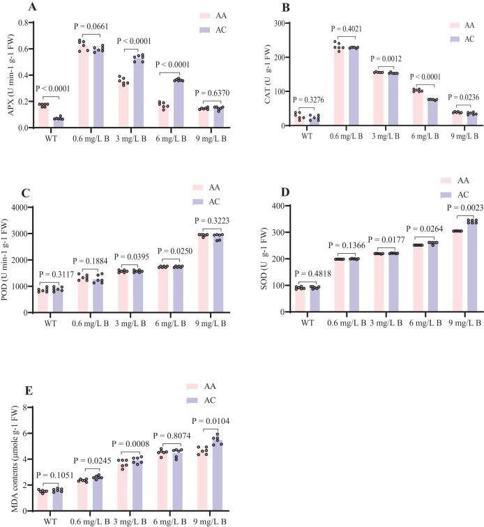 https://cdn.ncbi.nlm.nih.gov/pmc/blobs/6095/11973261/03c783f6b827/fpls-16-1549854-g006.jpg