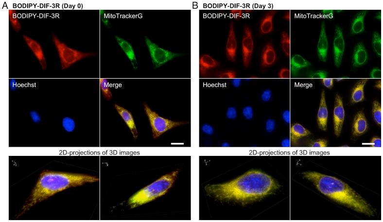 https://cdn.ncbi.nlm.nih.gov/pmc/blobs/6095/3988798/26b1e05701e1/bio-03-04-289-f03.jpg