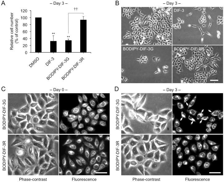 https://cdn.ncbi.nlm.nih.gov/pmc/blobs/6095/3988798/8b31c11a2d6c/bio-03-04-289-f02.jpg