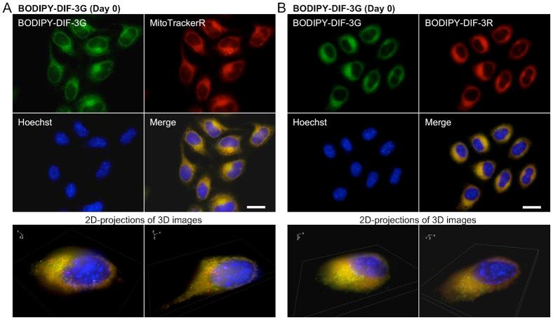 https://cdn.ncbi.nlm.nih.gov/pmc/blobs/6095/3988798/8dd5f4341bfa/bio-03-04-289-f04.jpg