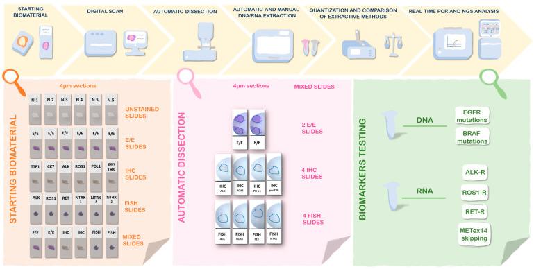 https://cdn.ncbi.nlm.nih.gov/pmc/blobs/6097/10178763/1854c350130f/diagnostics-13-01637-g001.jpg