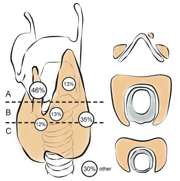 https://cdn.ncbi.nlm.nih.gov/pmc/blobs/6097/8003652/60438101ad98/diagnostics-11-00553-g001.jpg
