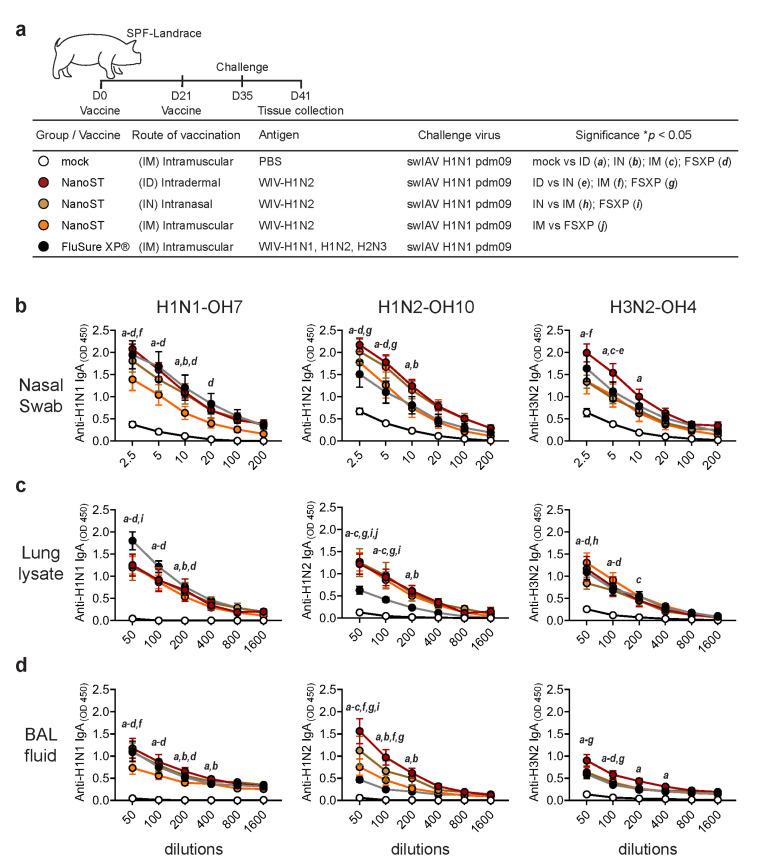 https://cdn.ncbi.nlm.nih.gov/pmc/blobs/6099/10675188/2b07aa560f4d/vaccines-11-01699-g002.jpg
