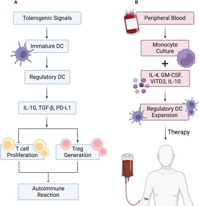 https://cdn.ncbi.nlm.nih.gov/pmc/blobs/609a/9795194/336aa26e0133/fimmu-13-1075813-g003.jpg