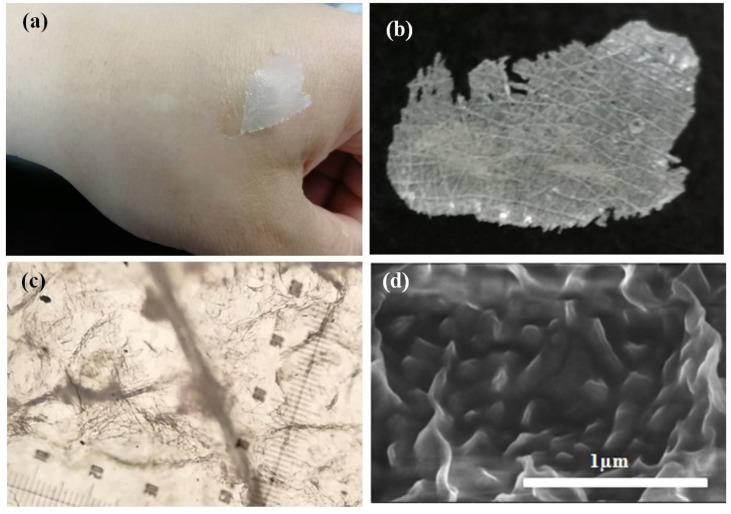 https://cdn.ncbi.nlm.nih.gov/pmc/blobs/609b/7146344/f4b9c81ff851/molecules-25-01334-g003.jpg