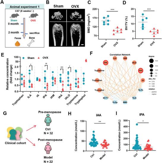 https://cdn.ncbi.nlm.nih.gov/pmc/blobs/609d/11423200/09a84a79c1fc/ADVS-11-2404545-g002.jpg