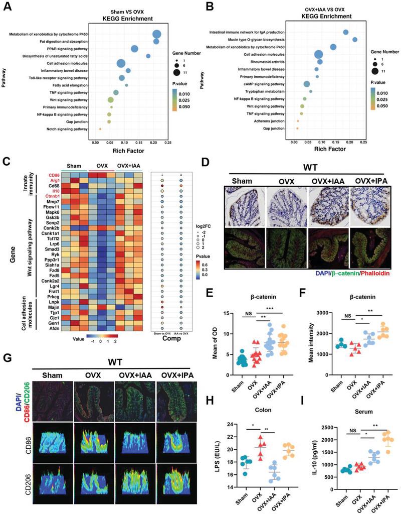 https://cdn.ncbi.nlm.nih.gov/pmc/blobs/609d/11423200/20ae61f3149b/ADVS-11-2404545-g005.jpg