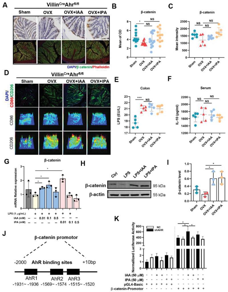 https://cdn.ncbi.nlm.nih.gov/pmc/blobs/609d/11423200/28bdcf8473f5/ADVS-11-2404545-g006.jpg