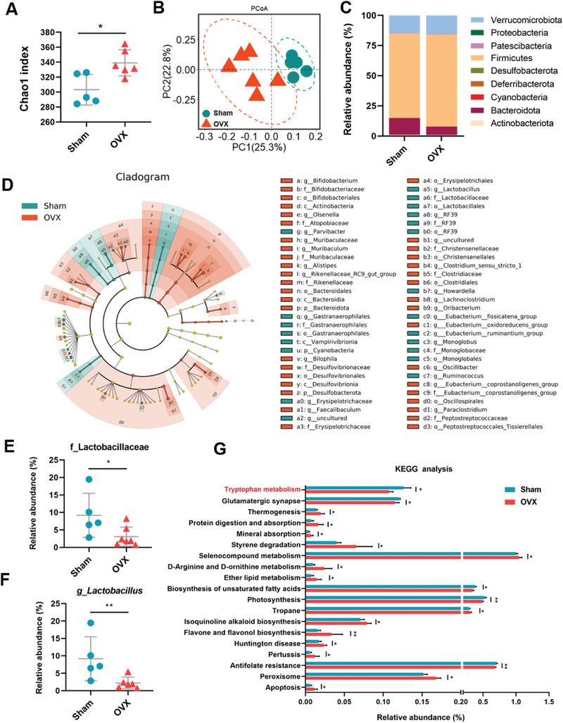 https://cdn.ncbi.nlm.nih.gov/pmc/blobs/609d/11423200/82750448c2df/ADVS-11-2404545-g004.jpg
