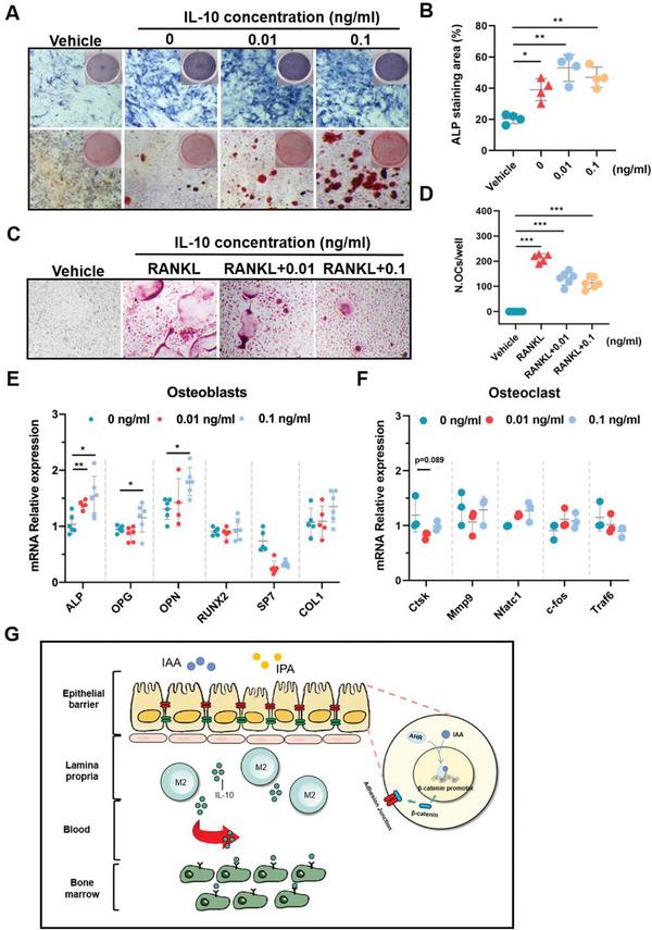 https://cdn.ncbi.nlm.nih.gov/pmc/blobs/609d/11423200/902af9015ca9/ADVS-11-2404545-g007.jpg