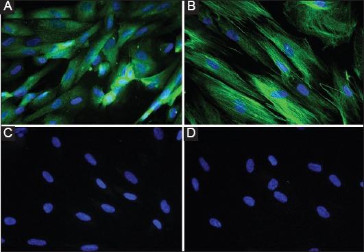 https://cdn.ncbi.nlm.nih.gov/pmc/blobs/60a4/5479991/ba4629d66468/AnnGastroenterol-30-393-g002.jpg