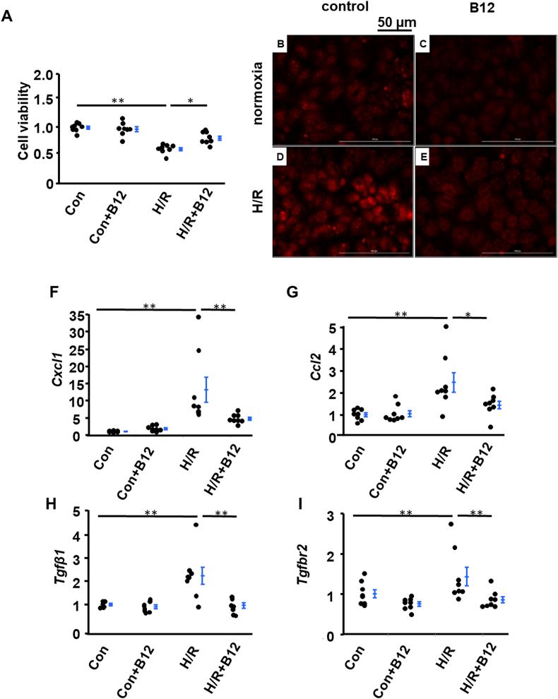 https://cdn.ncbi.nlm.nih.gov/pmc/blobs/60a4/7078436/5580c30cdbce/gr7.jpg