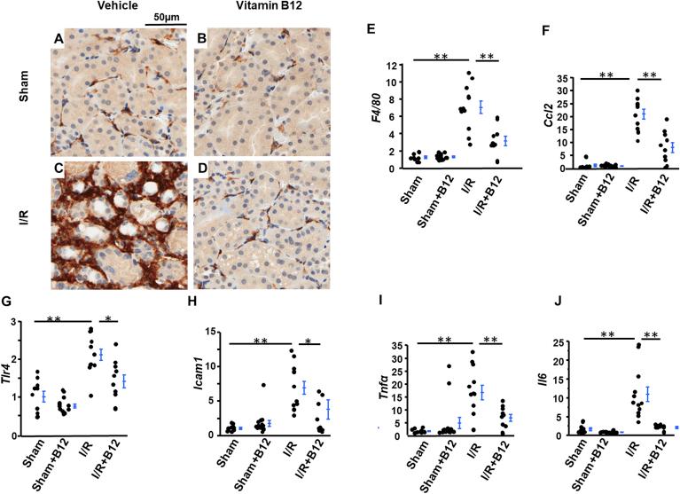 https://cdn.ncbi.nlm.nih.gov/pmc/blobs/60a4/7078436/652d5a6c5b02/gr3.jpg