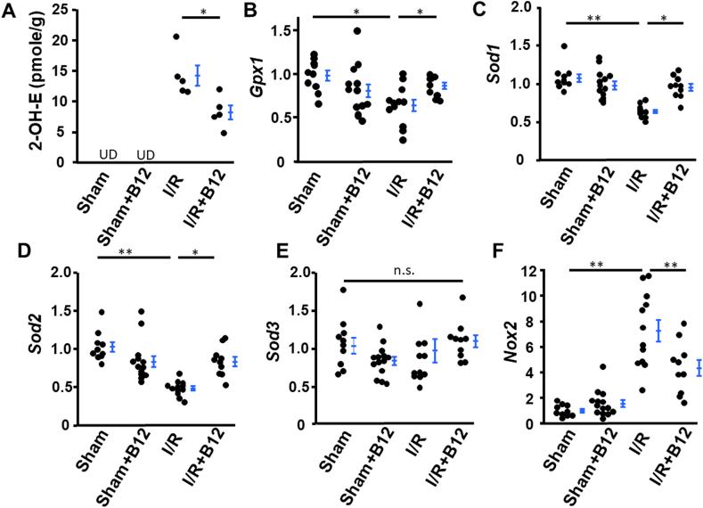 https://cdn.ncbi.nlm.nih.gov/pmc/blobs/60a4/7078436/6a646eced05a/gr6.jpg