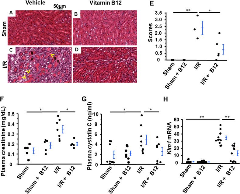 https://cdn.ncbi.nlm.nih.gov/pmc/blobs/60a4/7078436/a9590d2bb0eb/gr2.jpg
