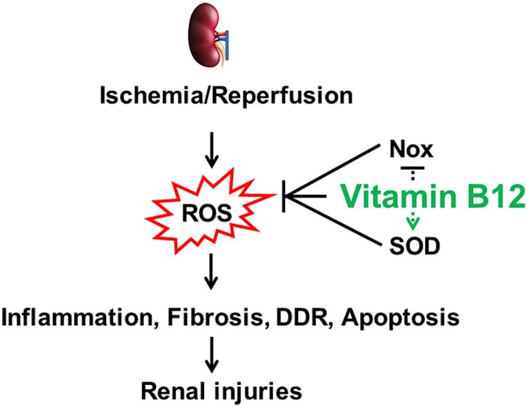 https://cdn.ncbi.nlm.nih.gov/pmc/blobs/60a4/7078436/f37387571c6a/fx1.jpg