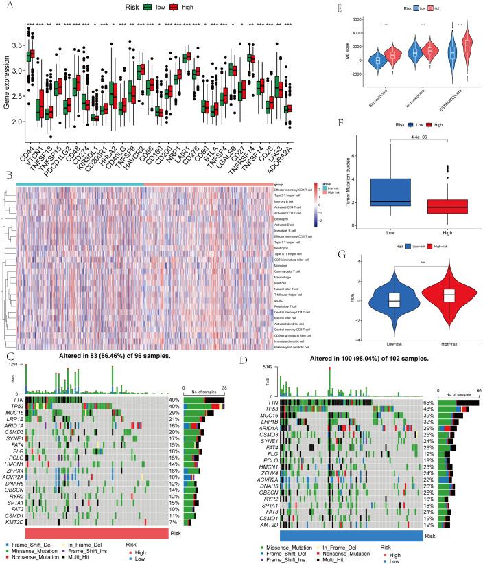 https://cdn.ncbi.nlm.nih.gov/pmc/blobs/60a6/12434088/9a7a226a24a0/fimmu-16-1620390-g008.jpg
