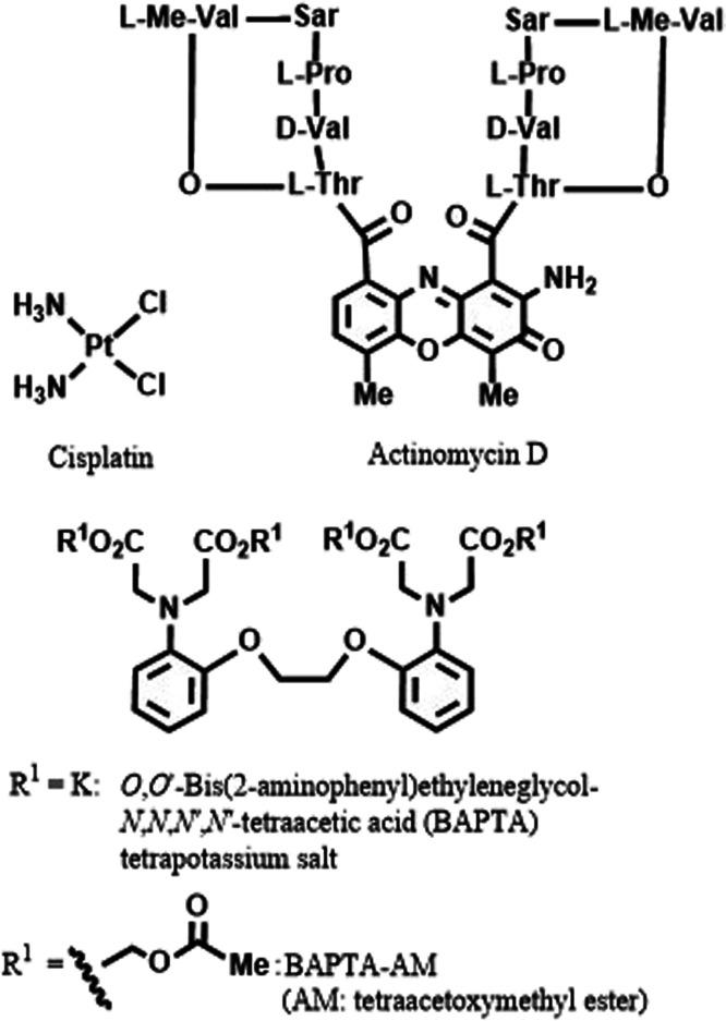 https://cdn.ncbi.nlm.nih.gov/pmc/blobs/60a7/10498496/081fe7e819e5/ic3c01738_0019.jpg